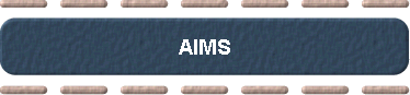  AIMS 