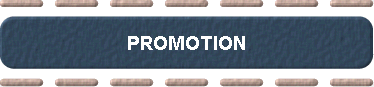  PROMOTION 